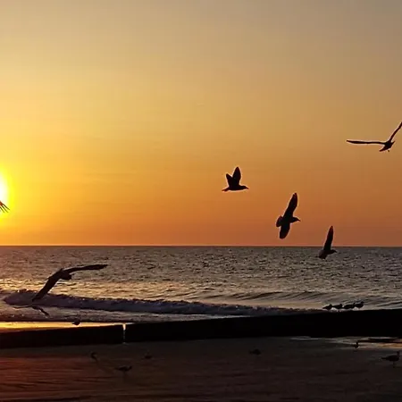 Garden Baltic 트르제삭츠