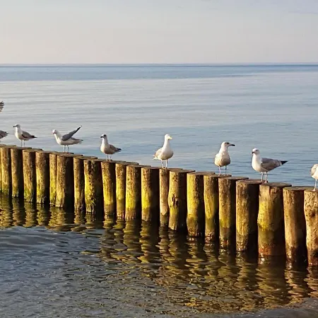 Garden Baltic Сasa de vacaciones Trzęsacz