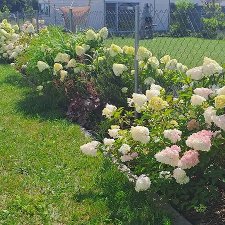 펜션 Garden Baltic