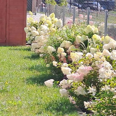 Сasa de vacaciones Garden Baltic *