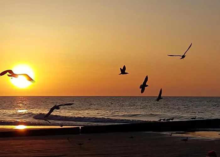 Garden Baltic Trzesacz