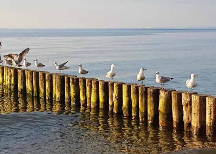 Garden Baltic Feriehus Trzęsacz