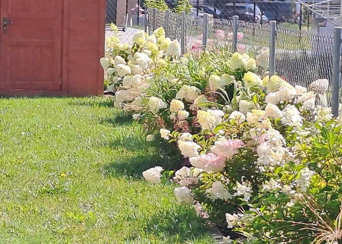 Feriehus Garden Baltic *